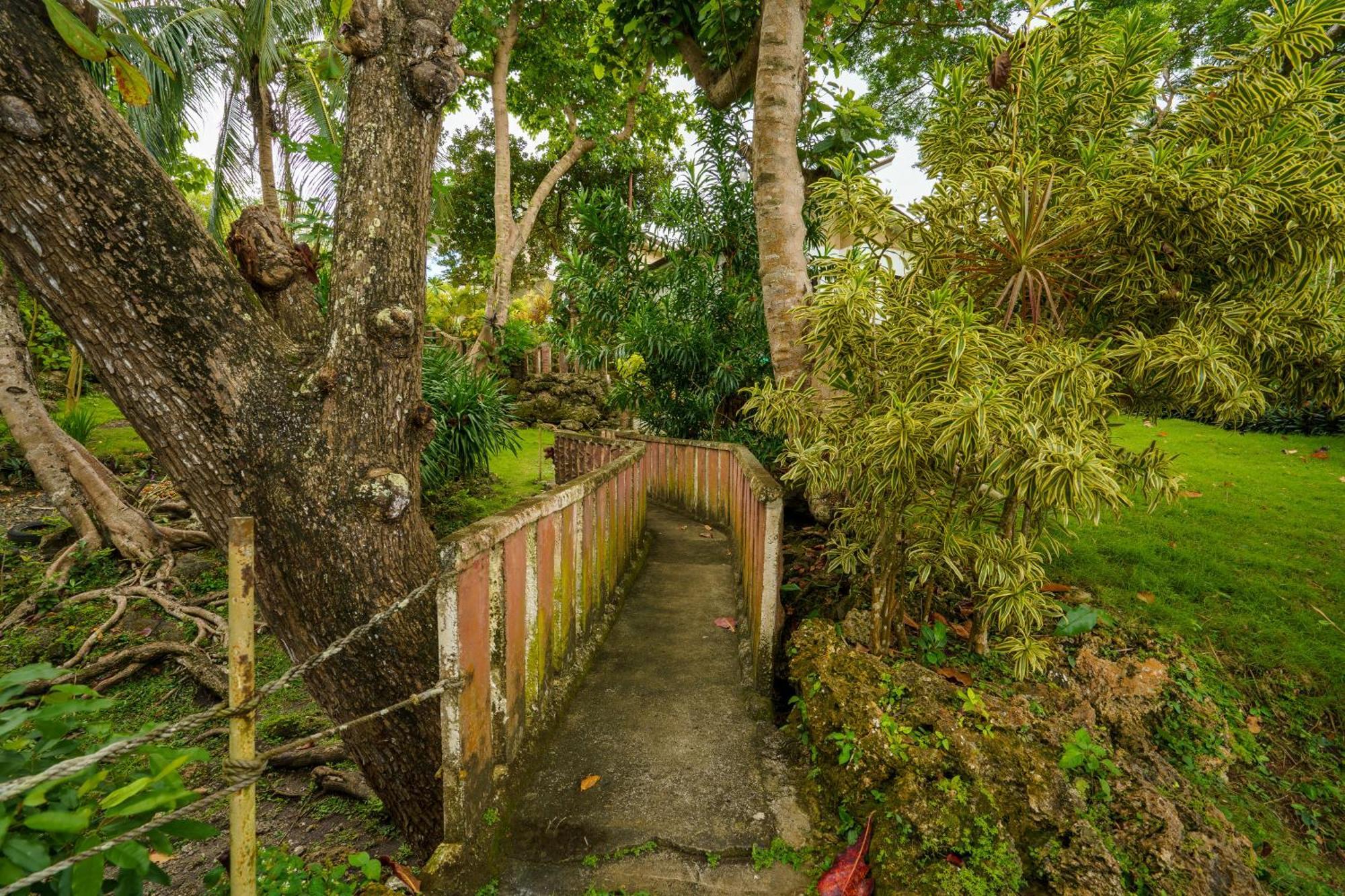 Oceanside 2 Bedroom House, 100Mbps Wifi Panglao Exteriér fotografie