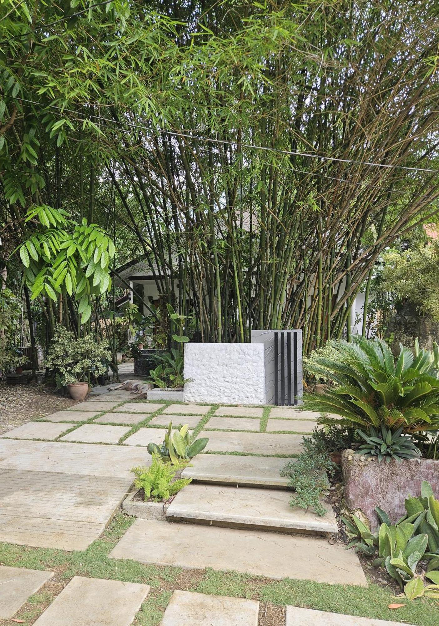 Oceanside 2 Bedroom House, 100Mbps Wifi Panglao Exteriér fotografie